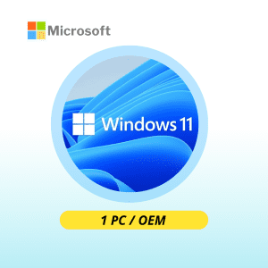 Windows 11 Pro OEM